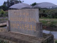 中科院蒲江猕猴桃产业化基地